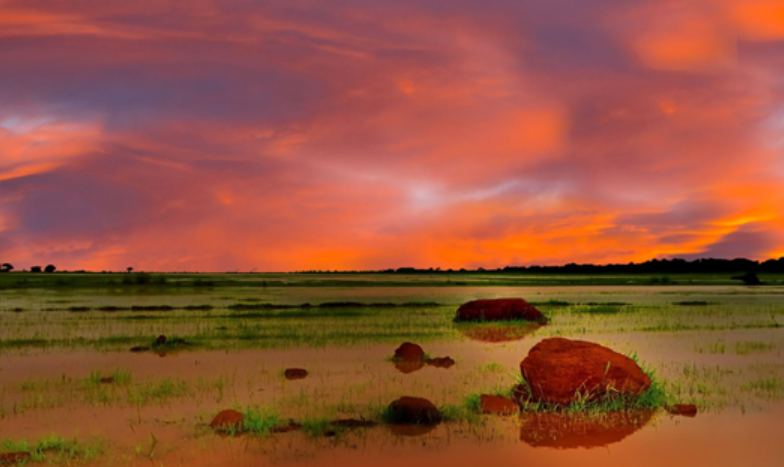 Sudd Wetland, South Sudan